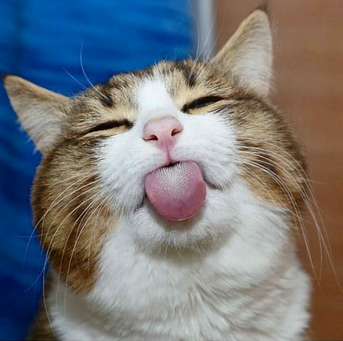 А я вот так умею