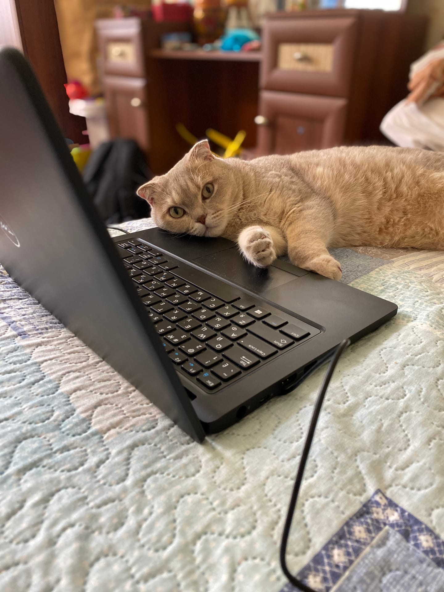 Кто со мной мультики смотреть