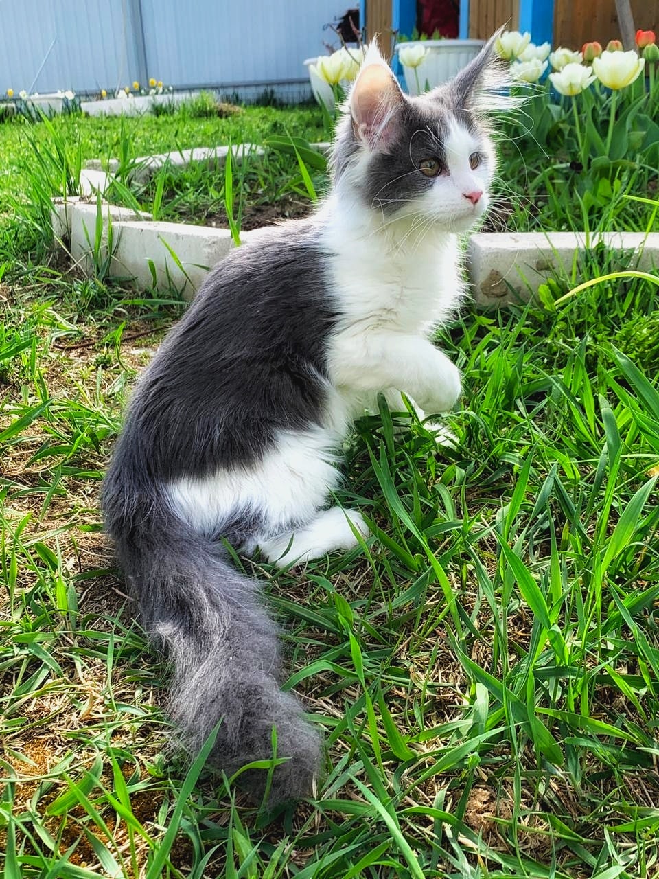 Кто это жужжал, сейчас поймаю