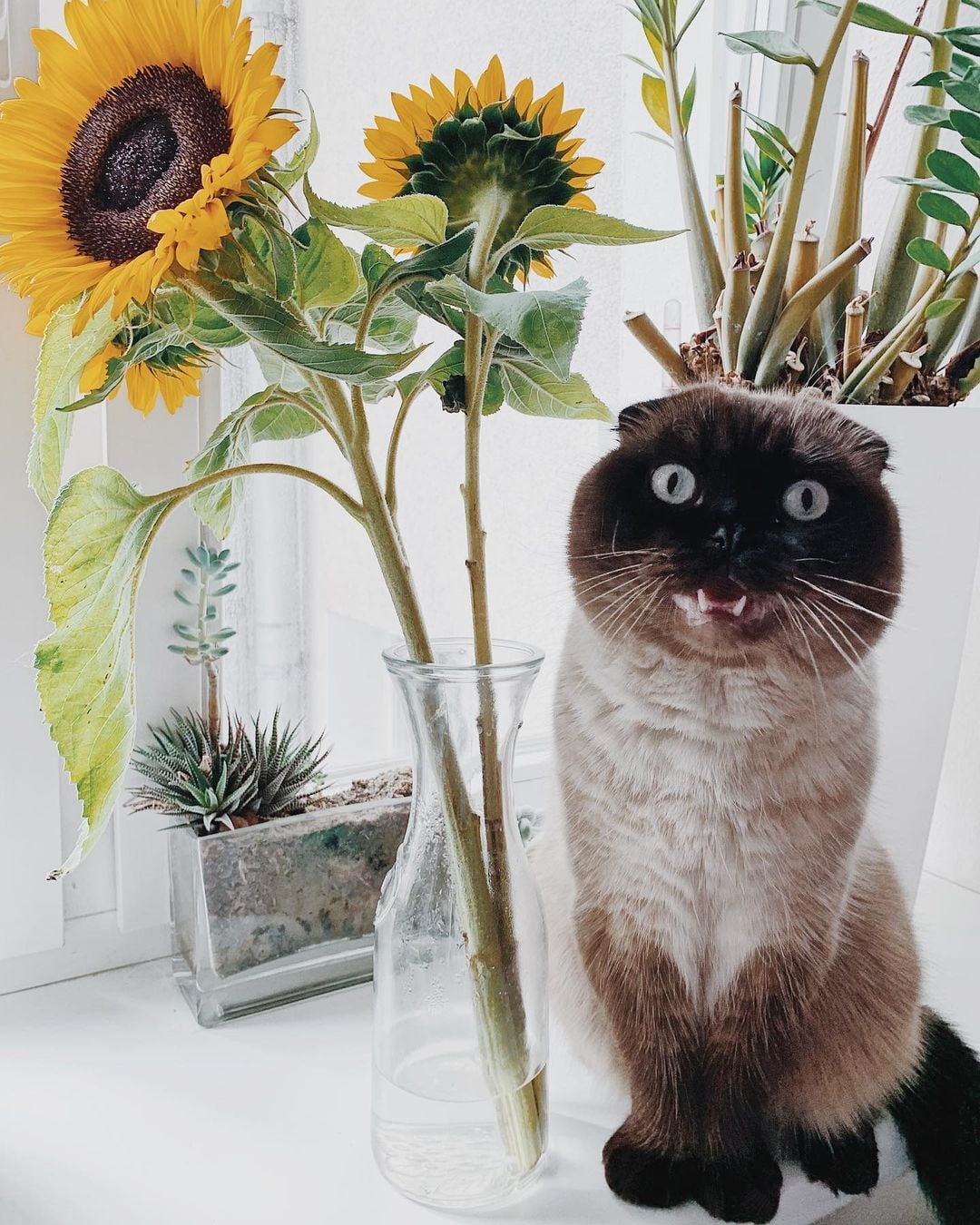 Кто поставил сюда цветы?