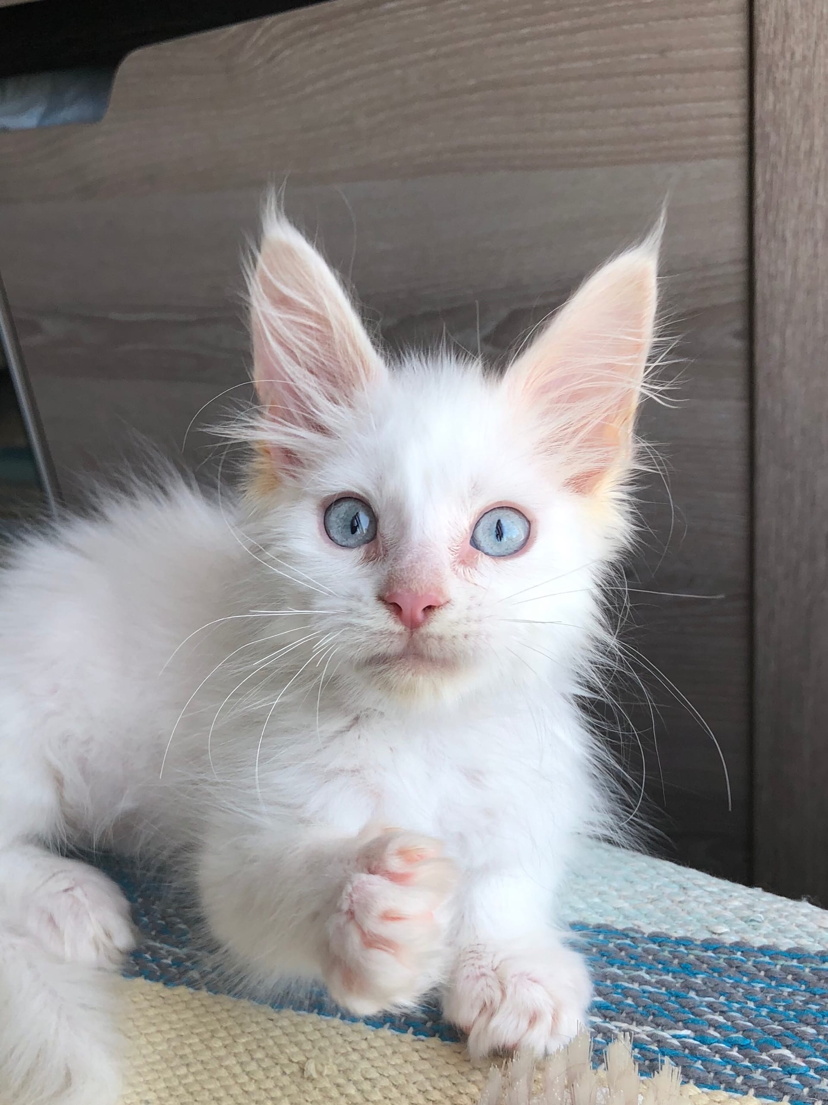 Здрасьте, давно не виделись