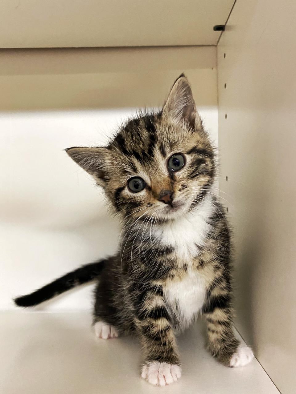 Можно я здесь буду жить