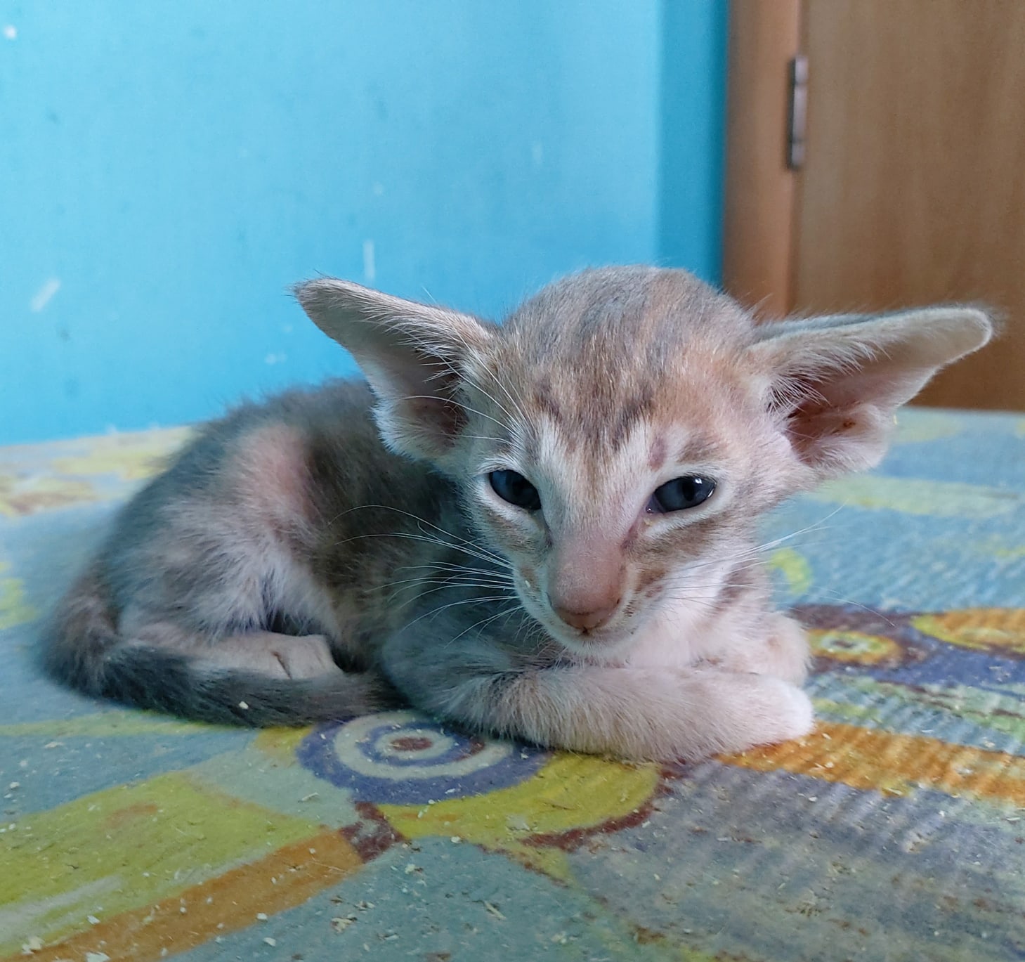 Не ругайте малыша, он всему научится