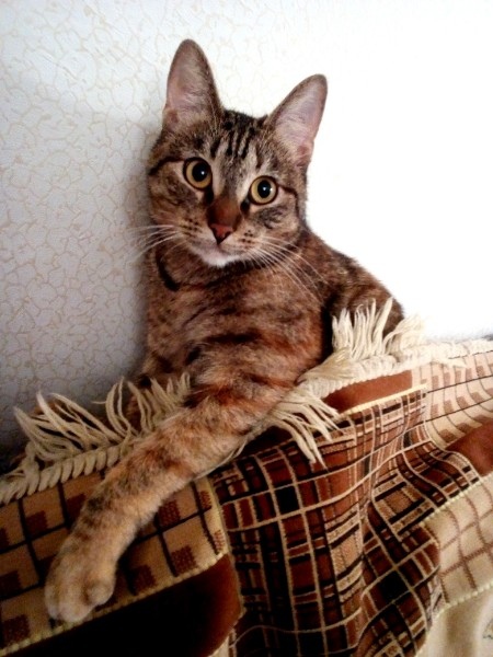 Вы что меня так долго искали, я уже выспаться успел