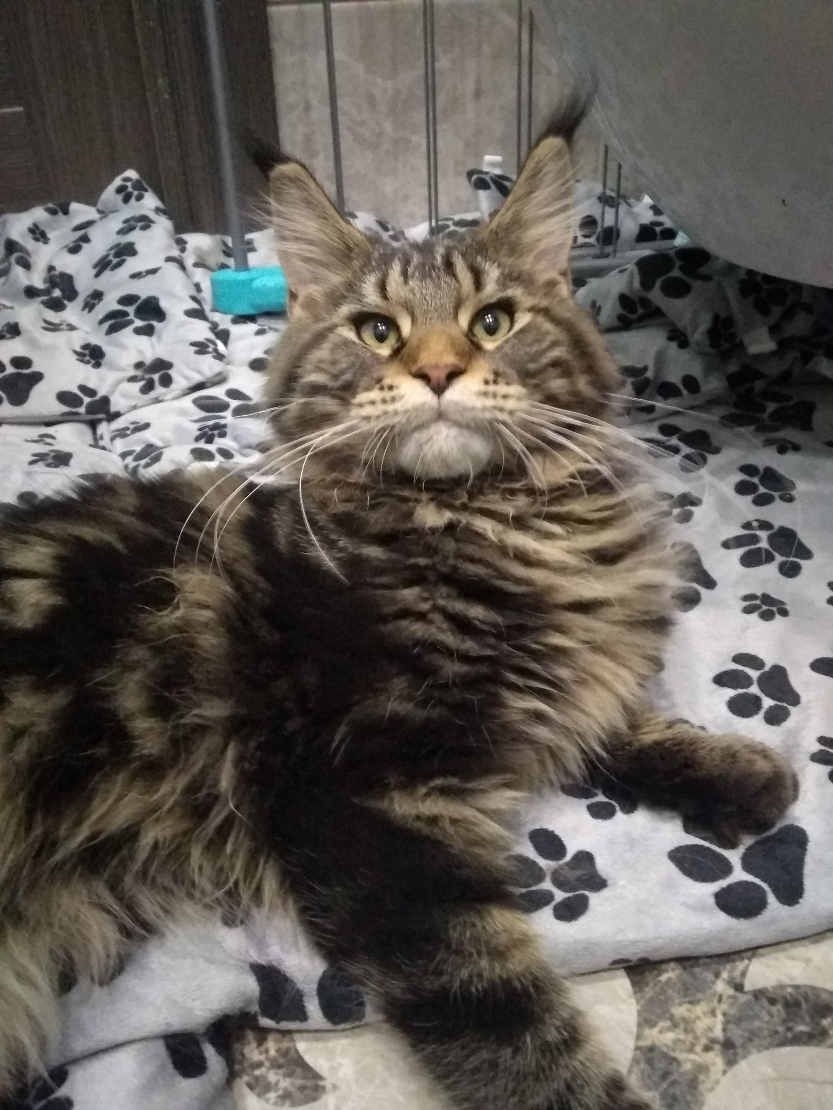 Место занято, идите себе что нибудь другое поищите