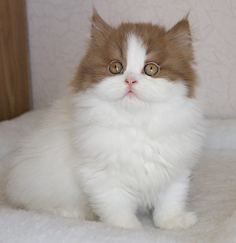 Я проснулся, чем займёмся