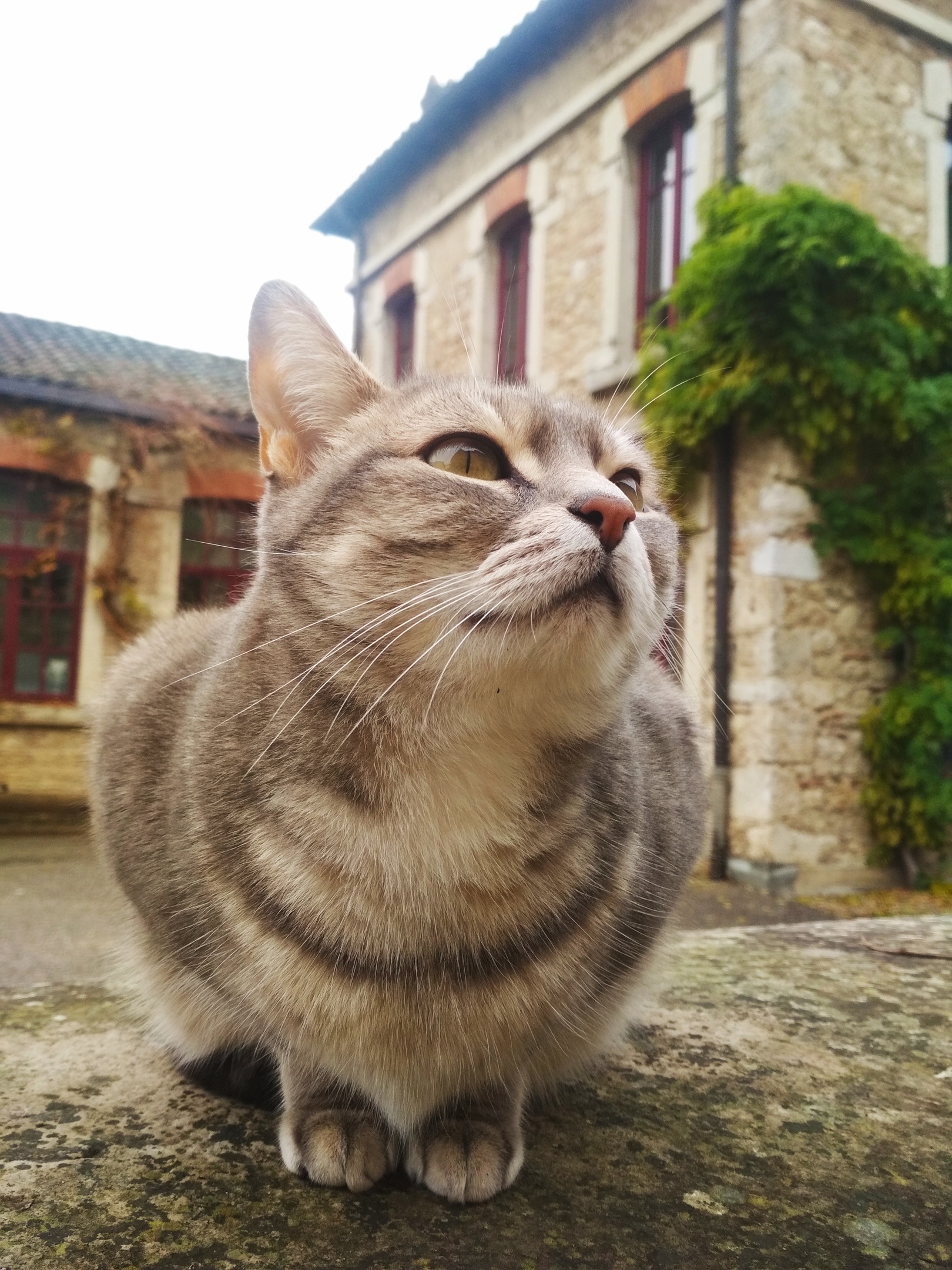 Куда пойти, куда податься