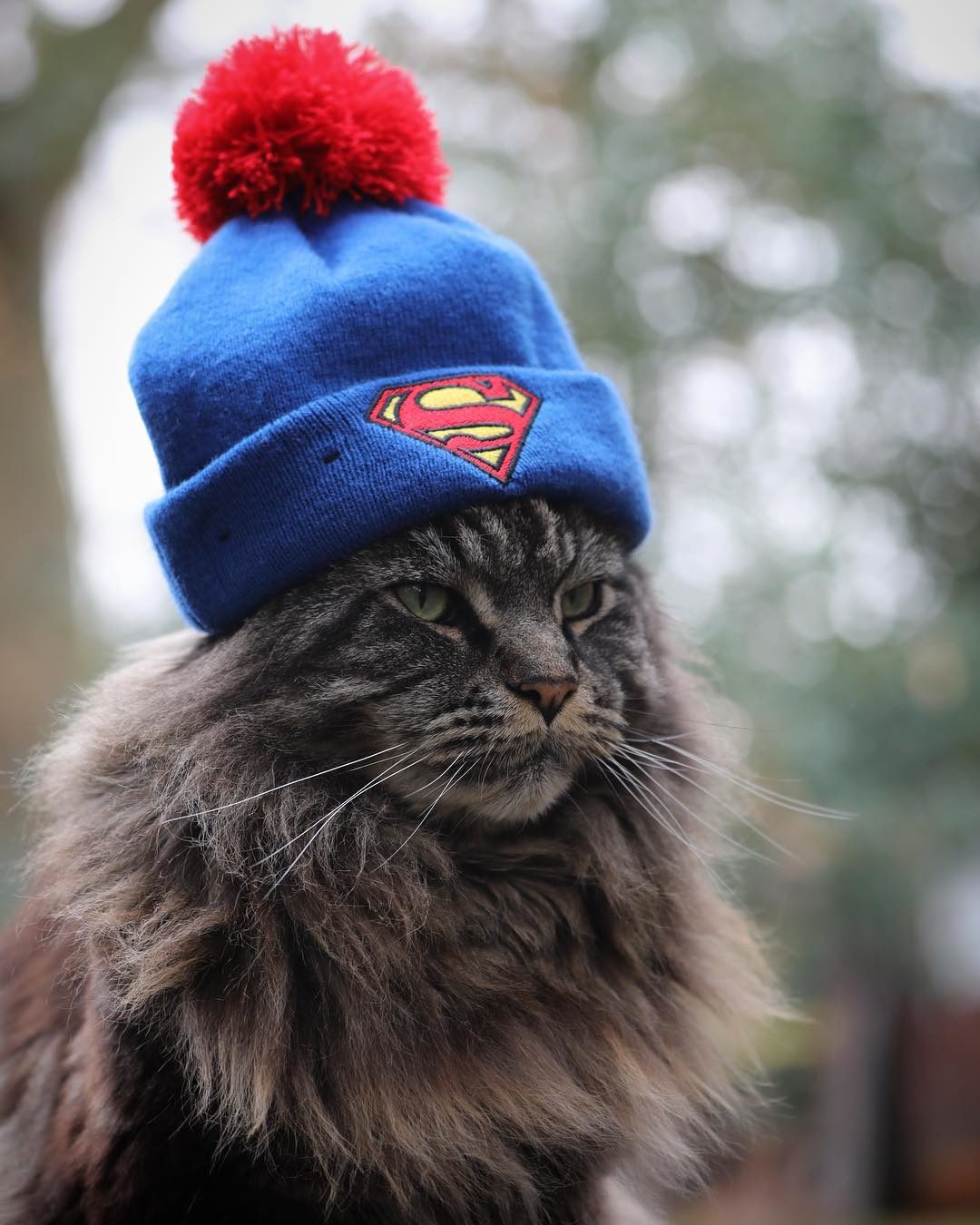 Супергерой готов придти на помощь