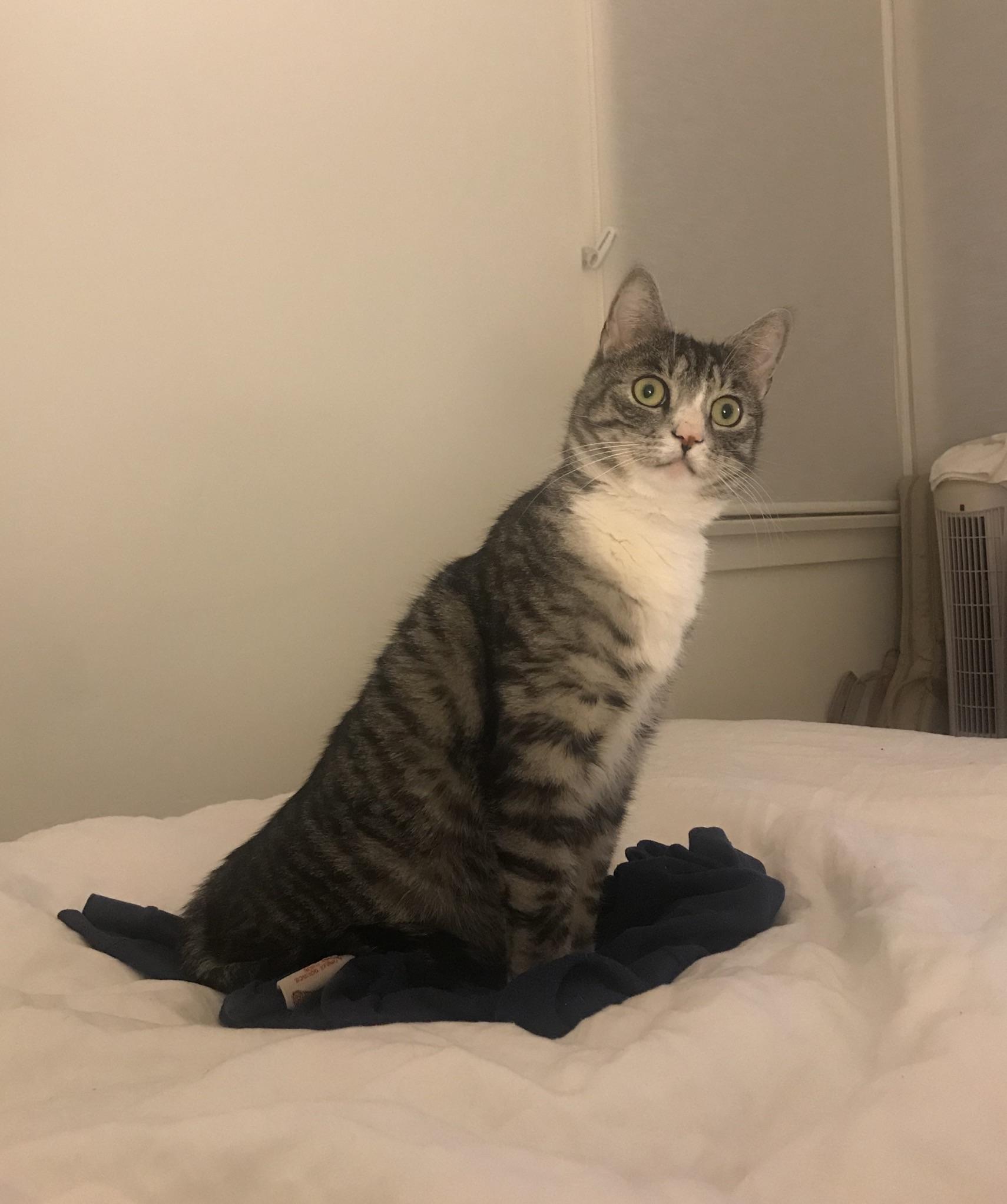 Хоть бы пронесло