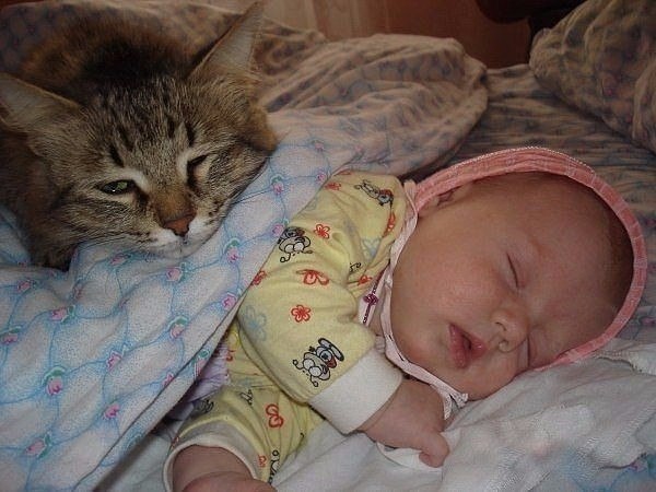 Малыша убаюкала, теперь можно и отдохнуть