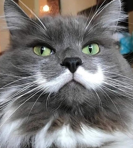 Я неотразим