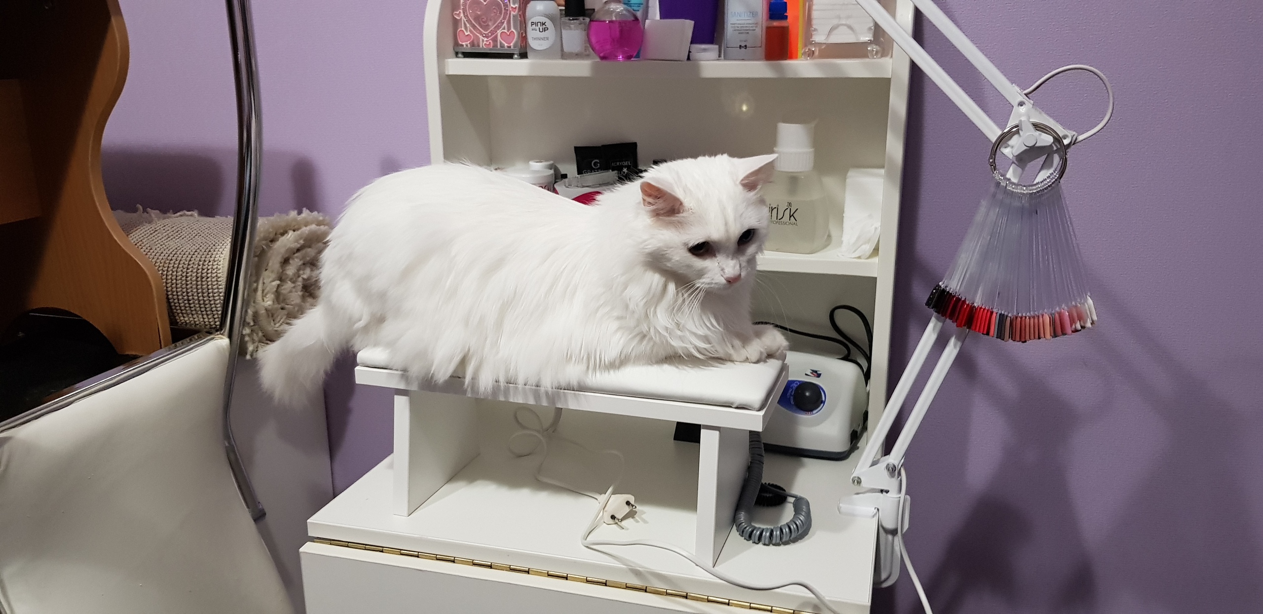 Мне маникюр без очереди, я спешу