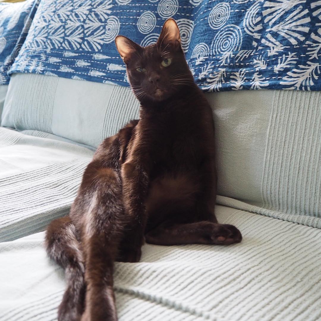 А я сижу такая вся