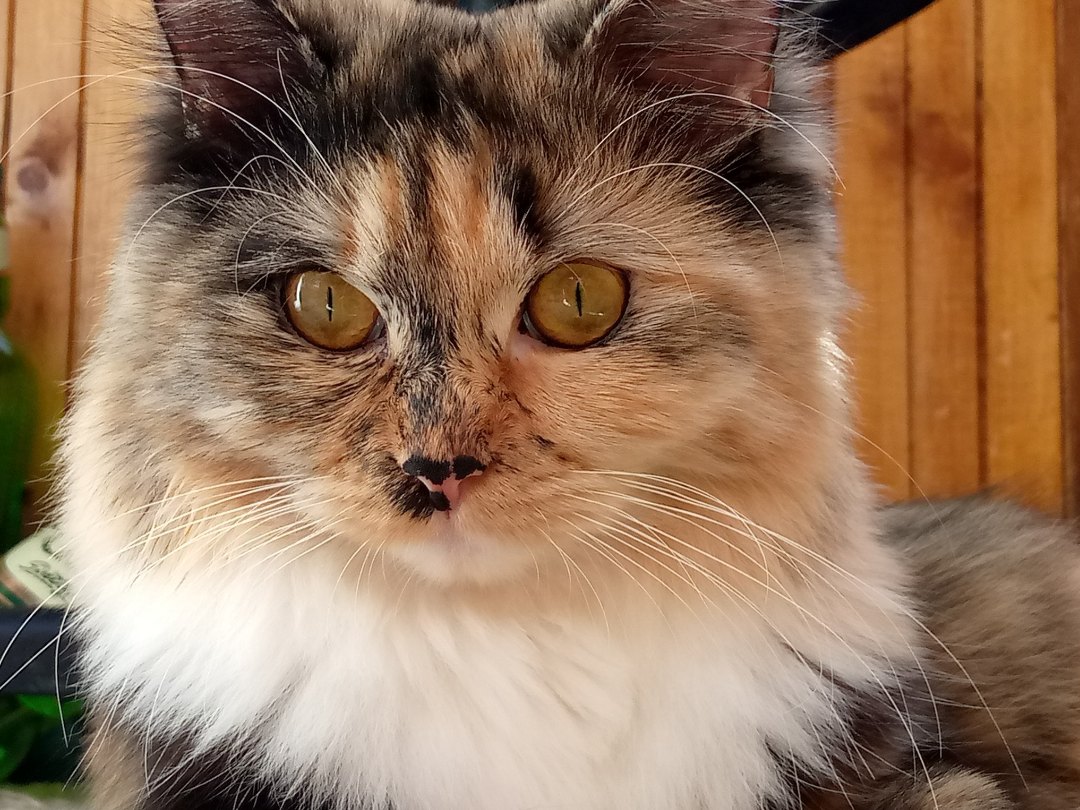 Намечается тусовка, я приду