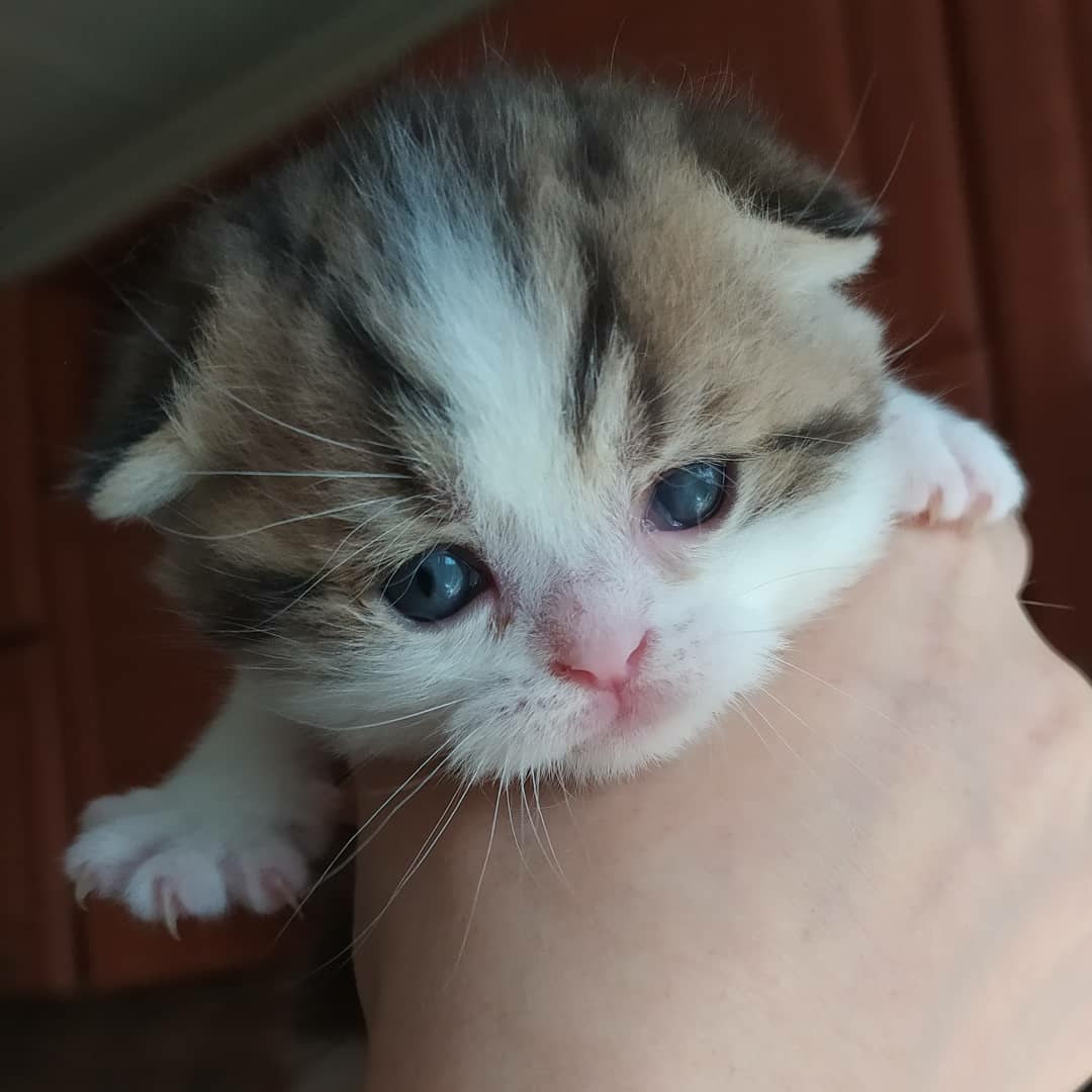 Что Вы меня трогаете