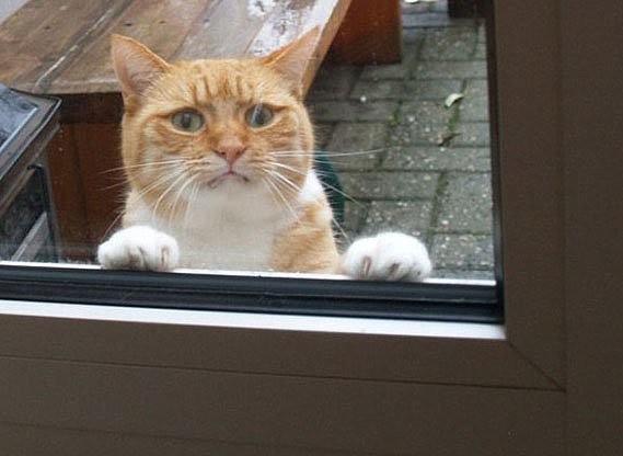 Вы что меня не ждали