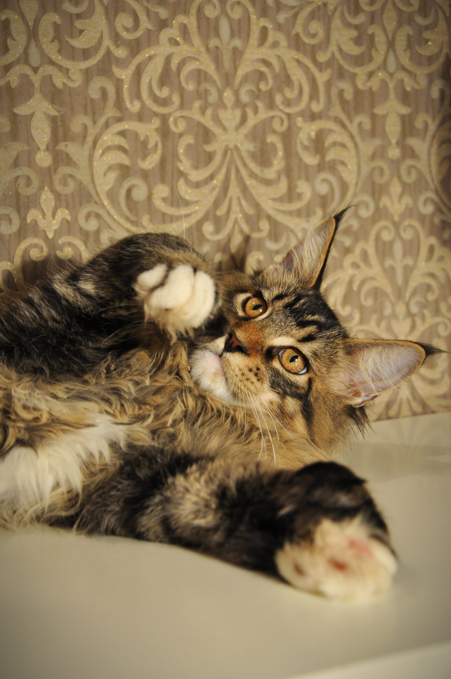 Почешите мне пузико