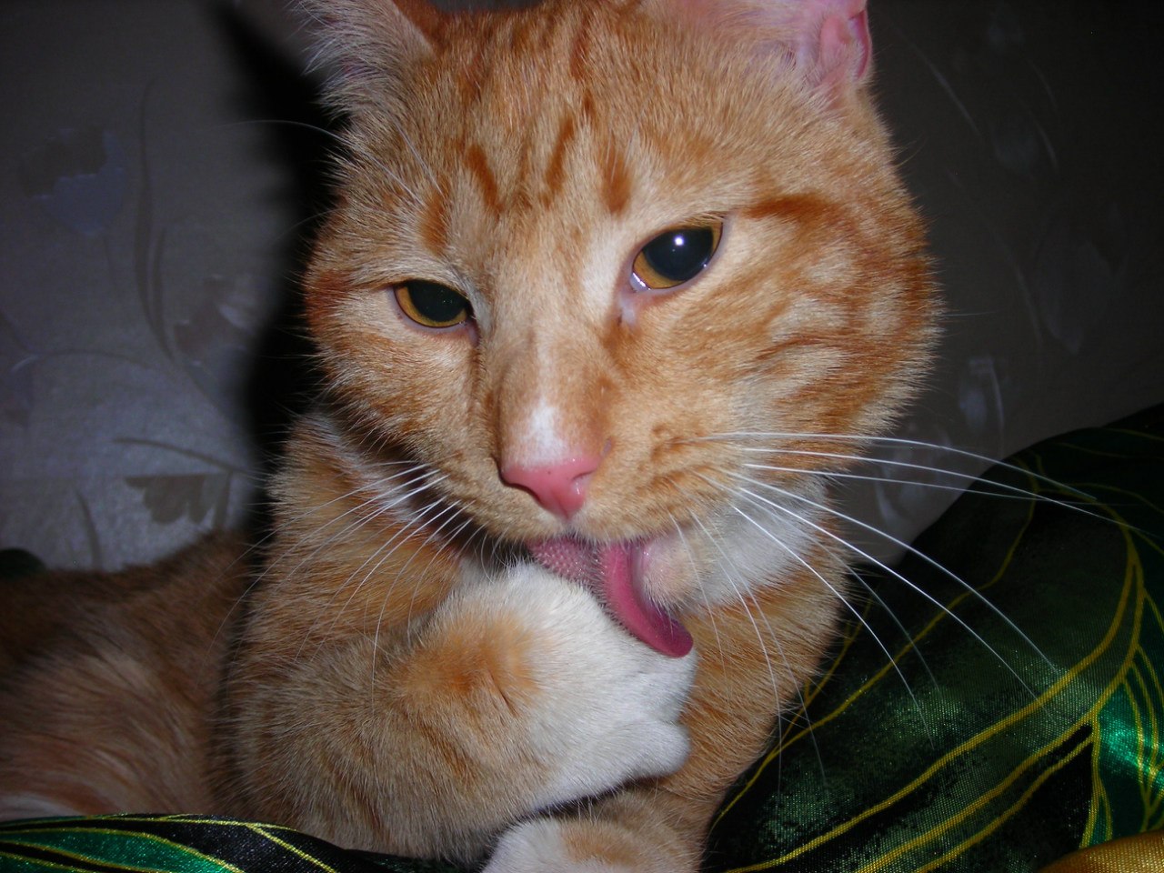 Пора спать, надо намываться