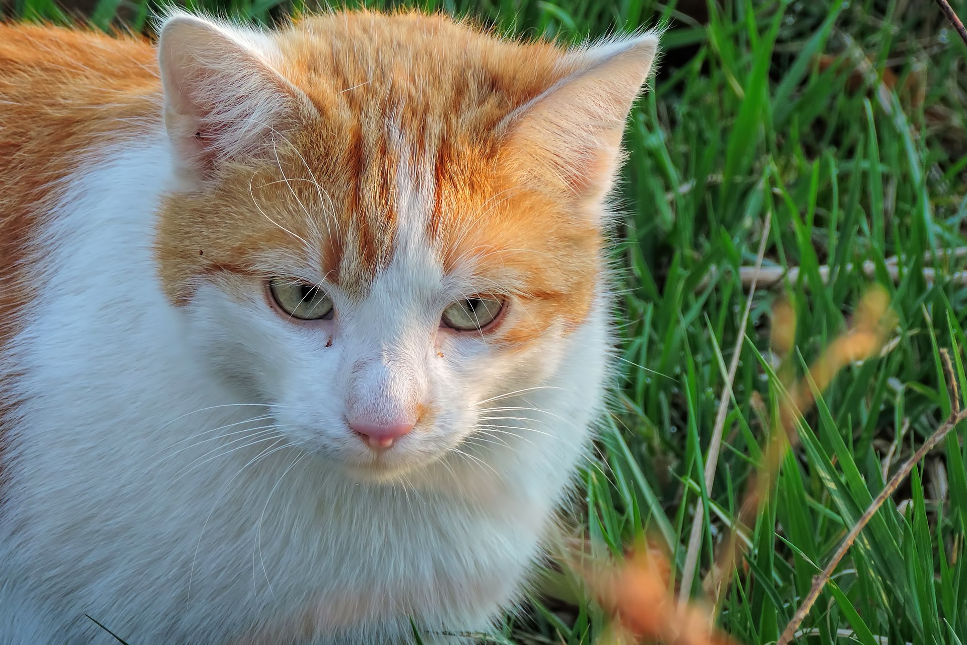 Где бы найти уютное местечко, чтобы отдохнуть