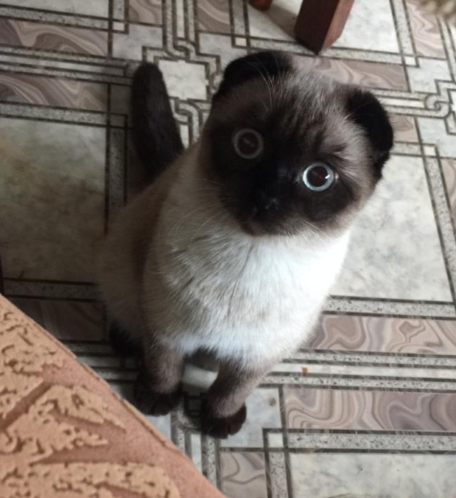 Хватит лопать, мне оставьте