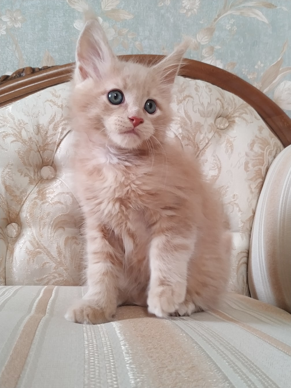 Если я тут немножко поцарапаю, это ведь не страшно