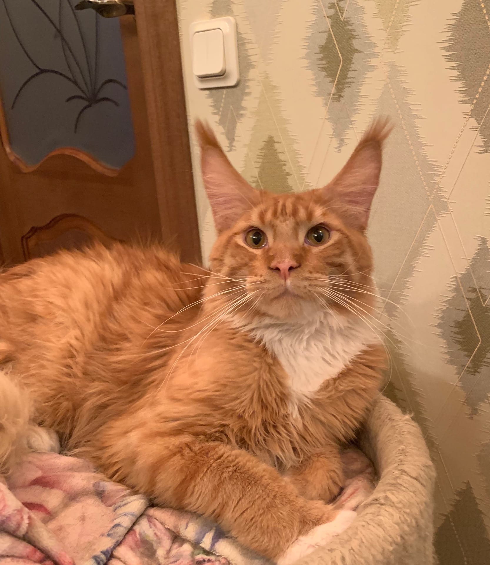 Какие планы на сегодня