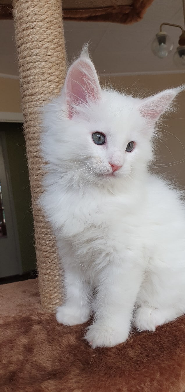 Чем бы заняться