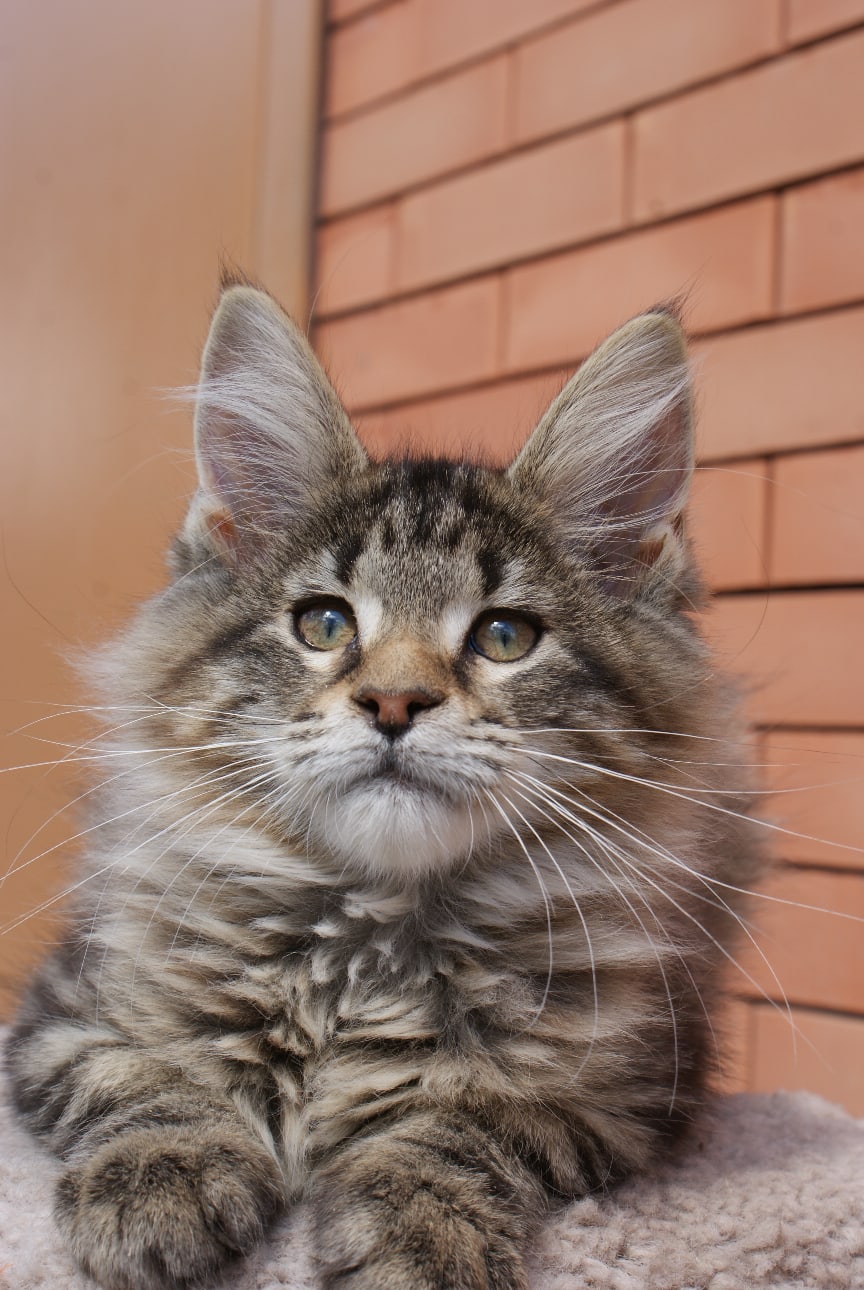 Хвалите меня, мне это нравится