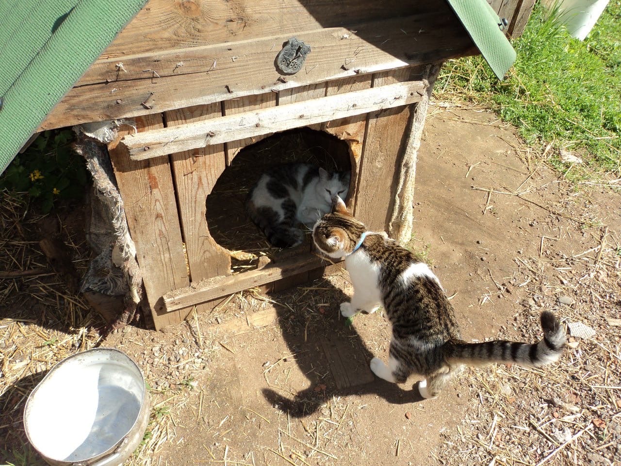 Есть там ещё местечко