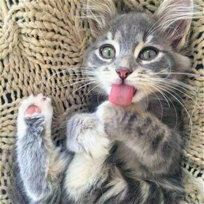 Давайте умиляйтесь