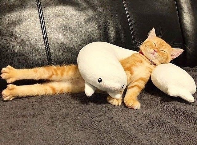 Ой, расту, расту