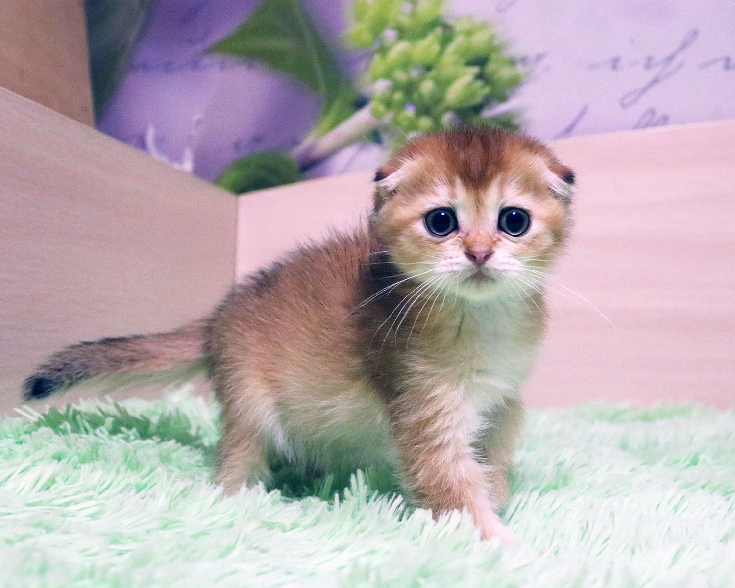 Постель недостаточно мягкая