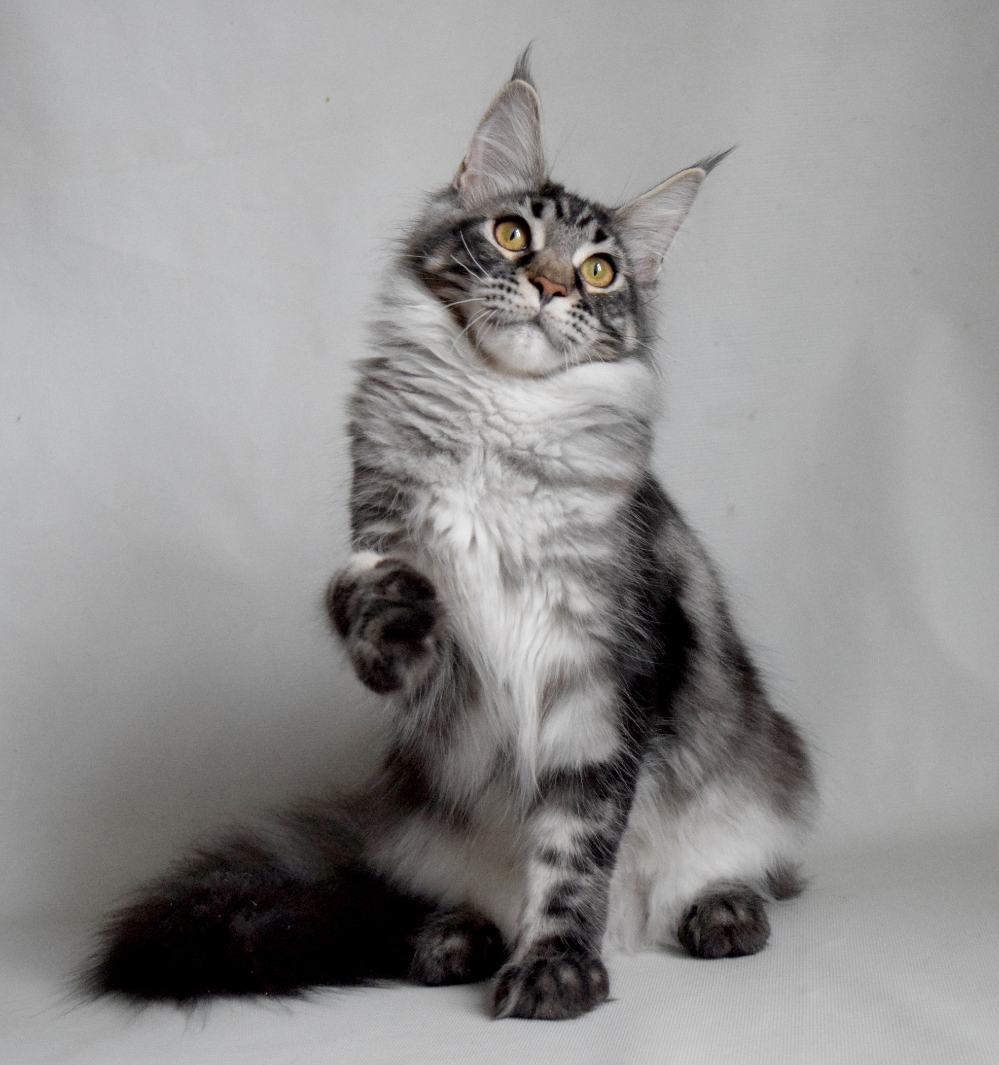 Может ещё пару снимков