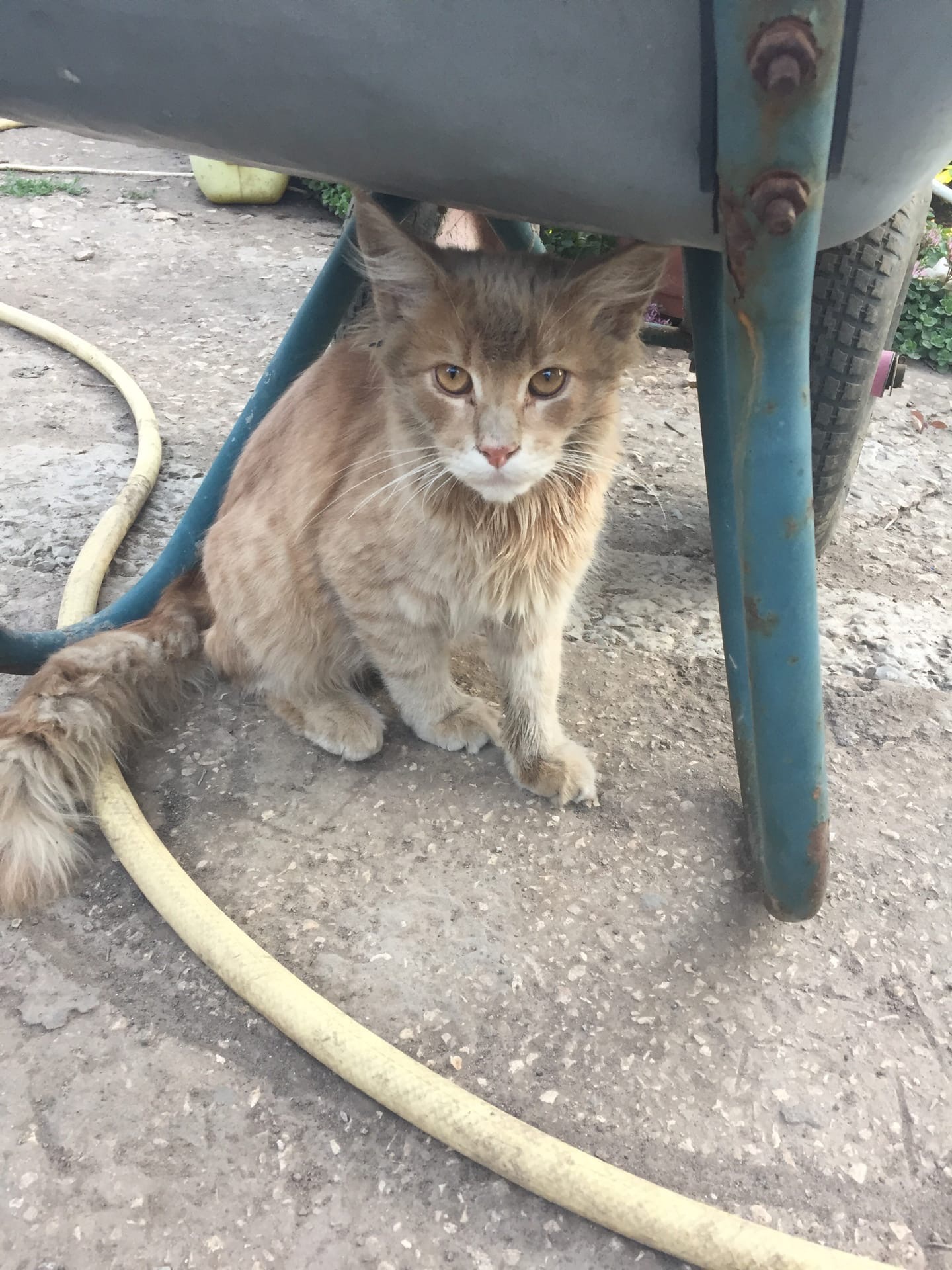 Чем Вам помочь