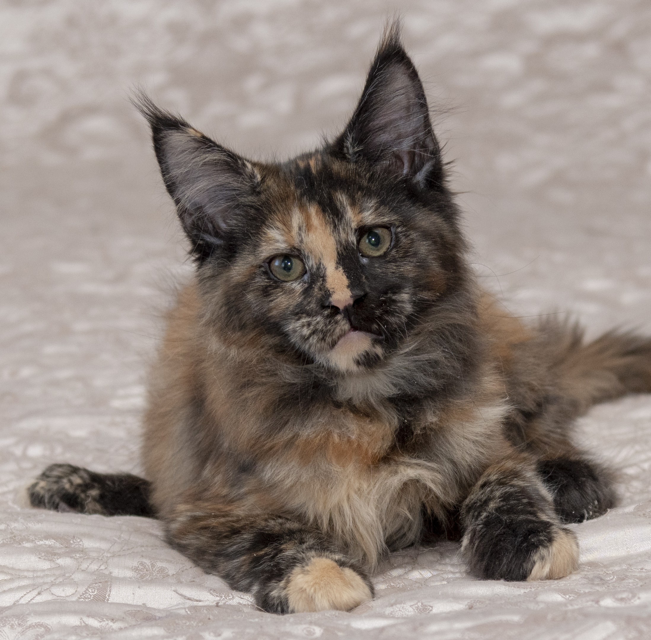 Не грусти, красотка