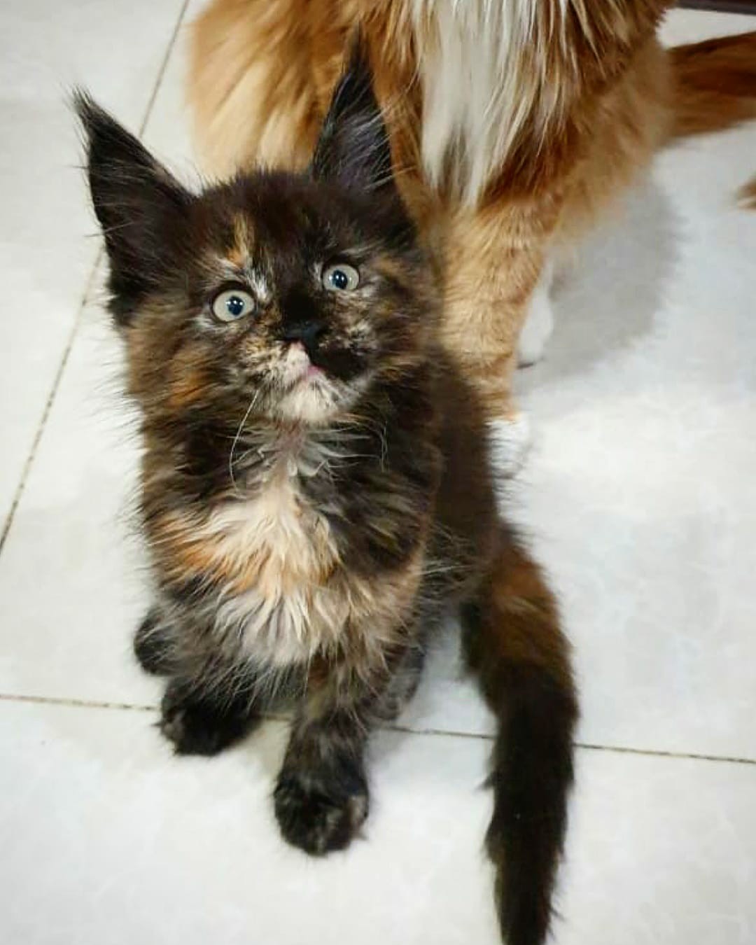 Малышу пора кушать