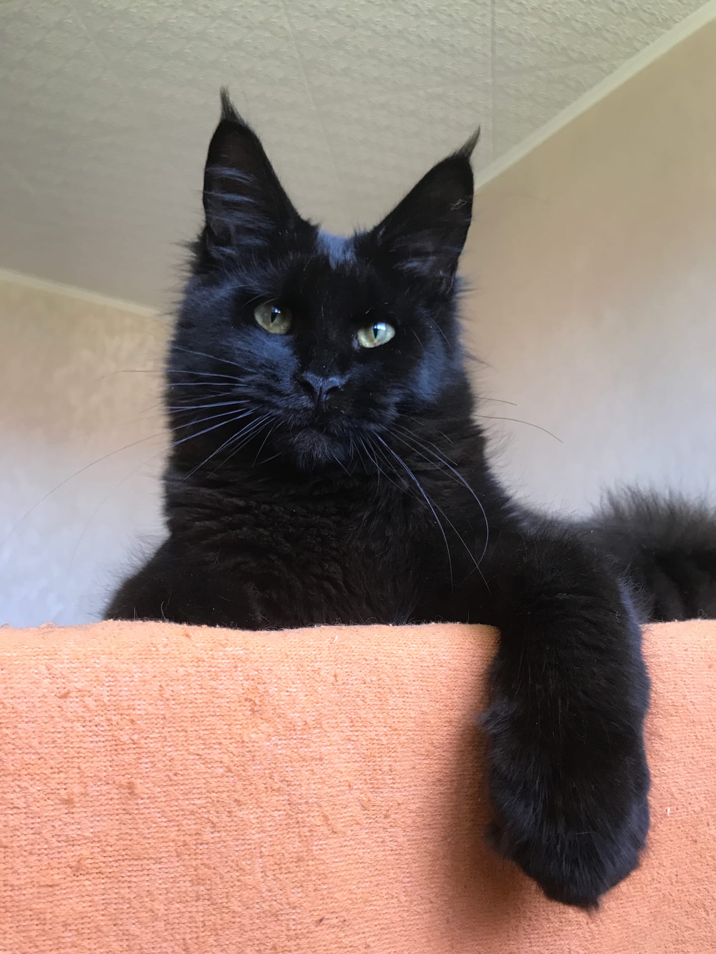 Красавчик с  модельной внешностью