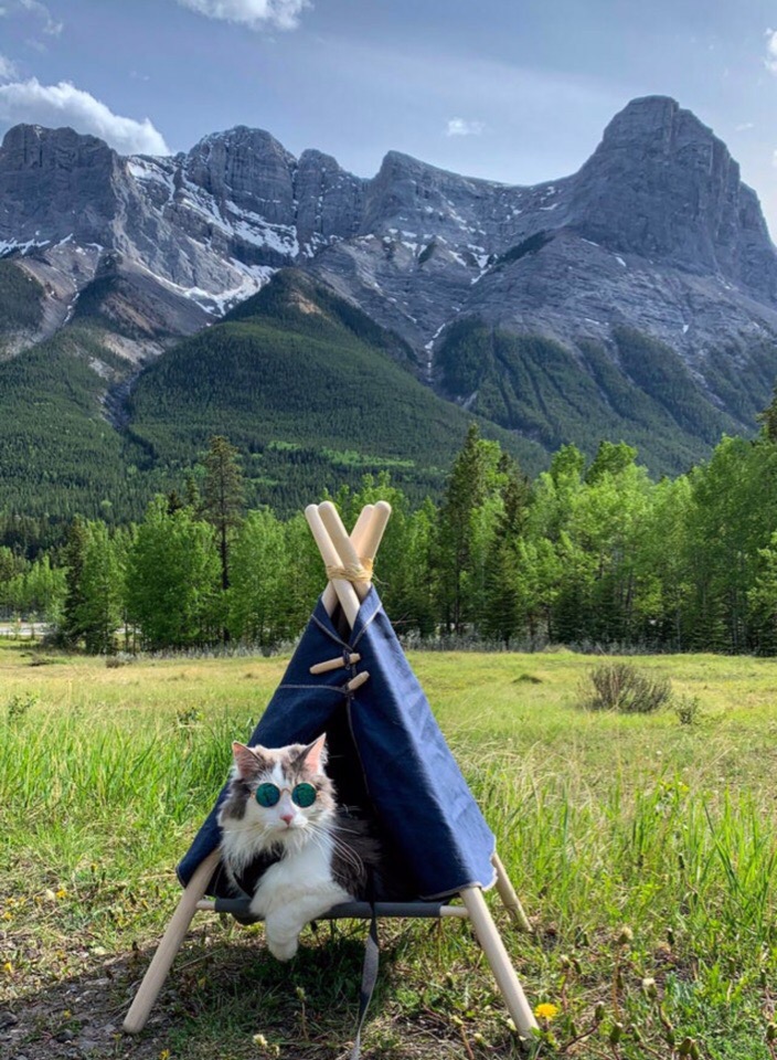 Усатый турист