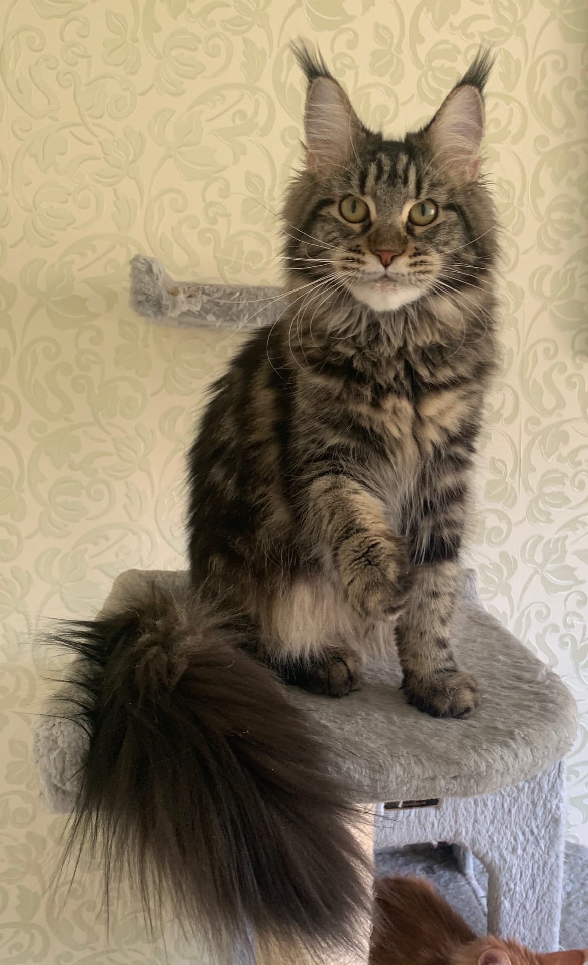 Воспитывайте малышню, пока я за них не взялся