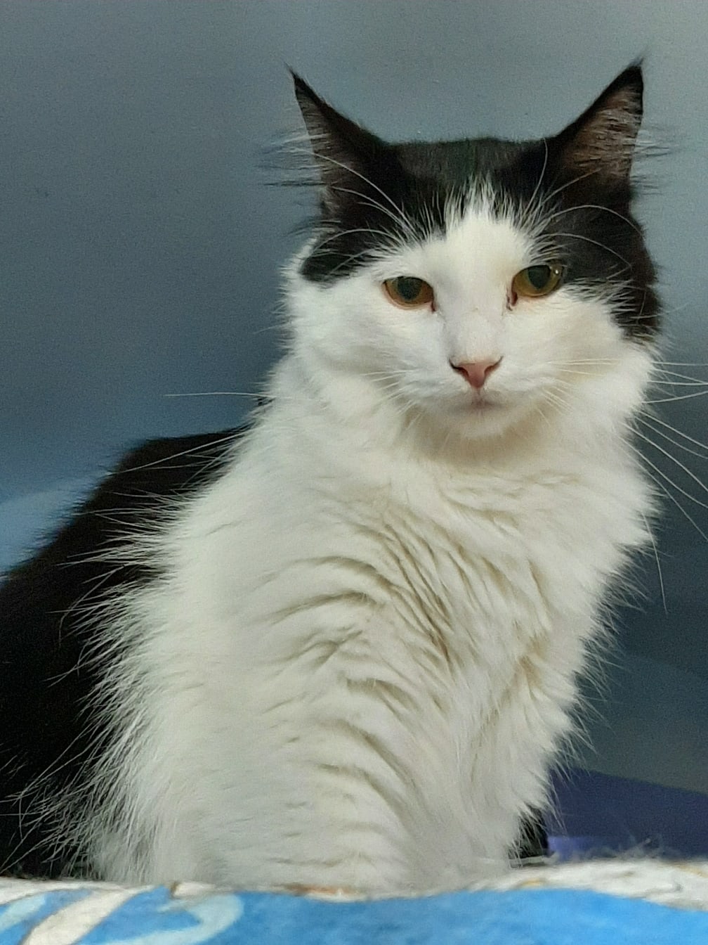 Поднять подняли, а разбудить забыли