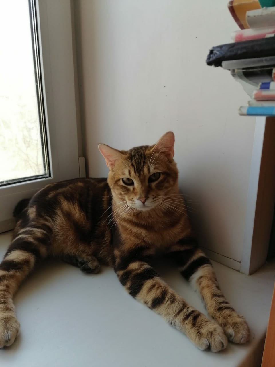 Дома скучно, за окном тоже, как жить