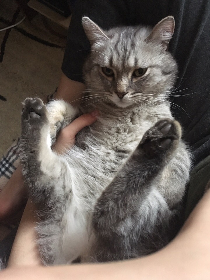 Можете нянчить меня по очереди