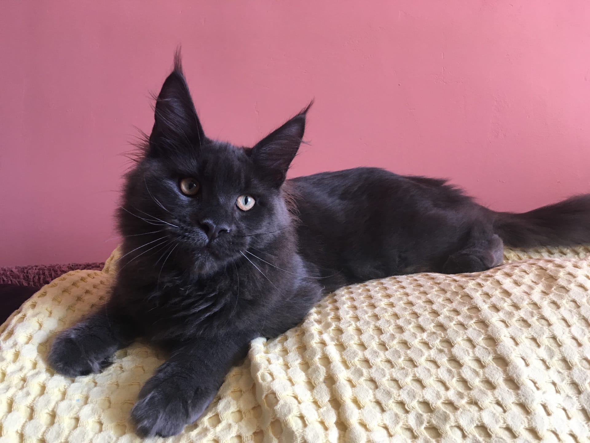 Идите сюда, будем вместе лежать