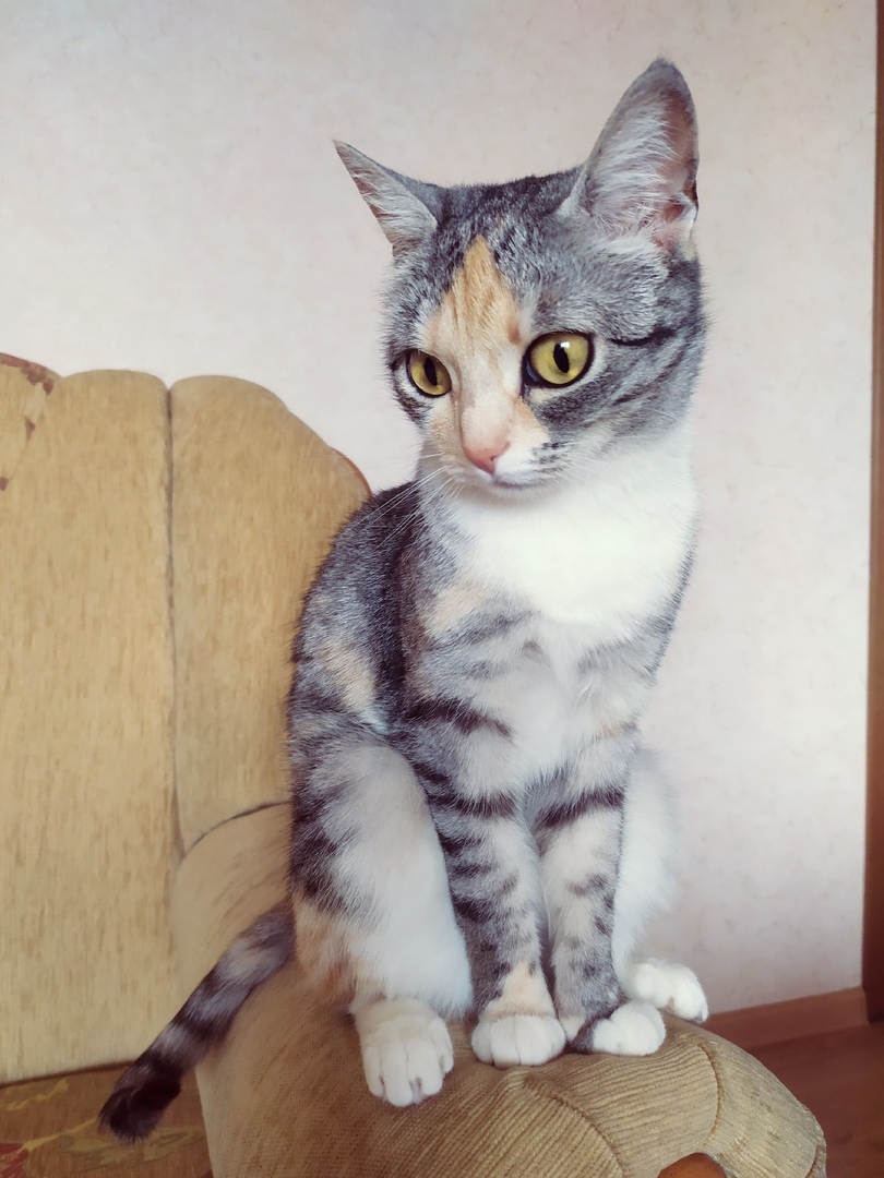 О чём задумалась, красотка