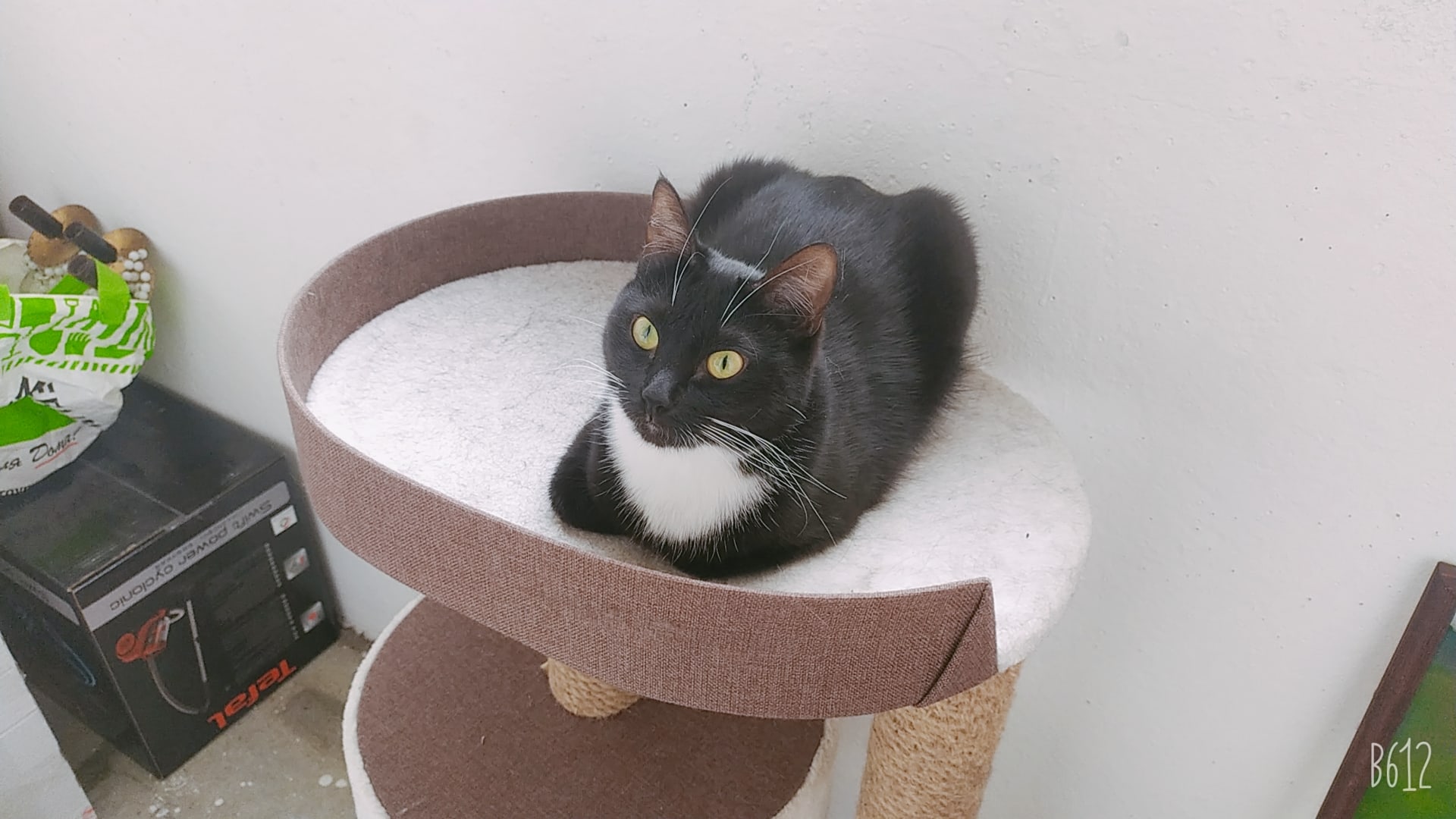 Меня не кантовать, обеденный перерыв