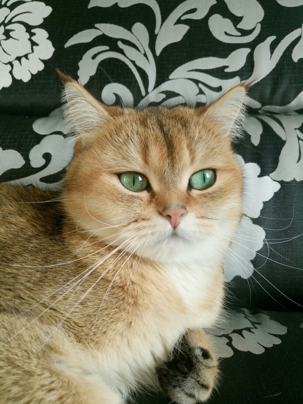 Как услышу что то интересное, так прибегу