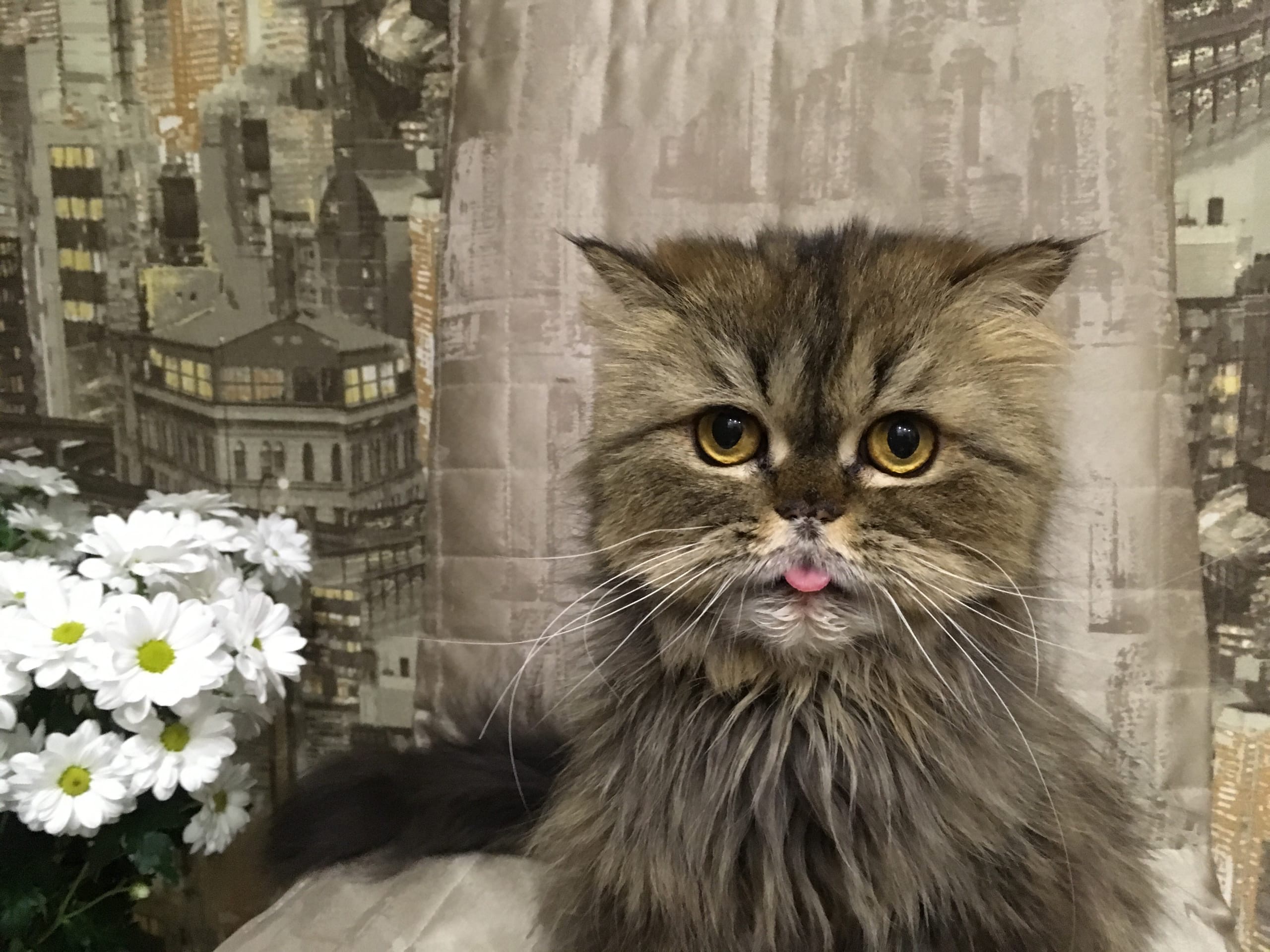 Фу, какие вонючие цветочки