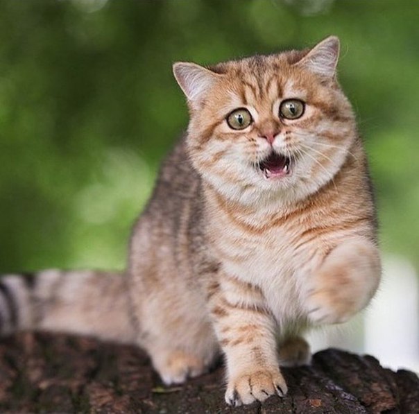 Эй Вы куда, меня забыли