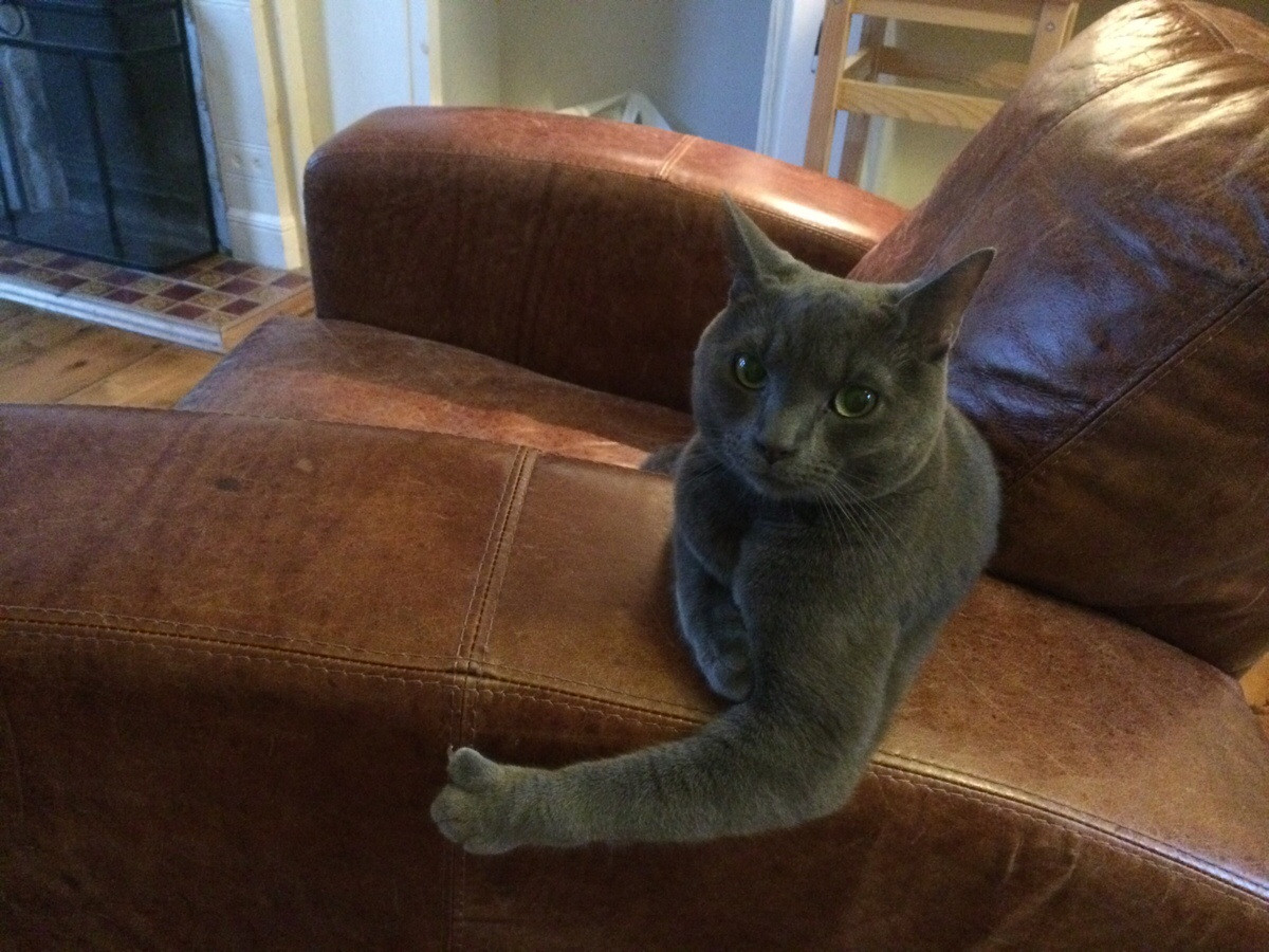 Спорим, сейчас все соберутся в комнате