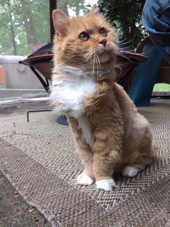 Хорошо сидим